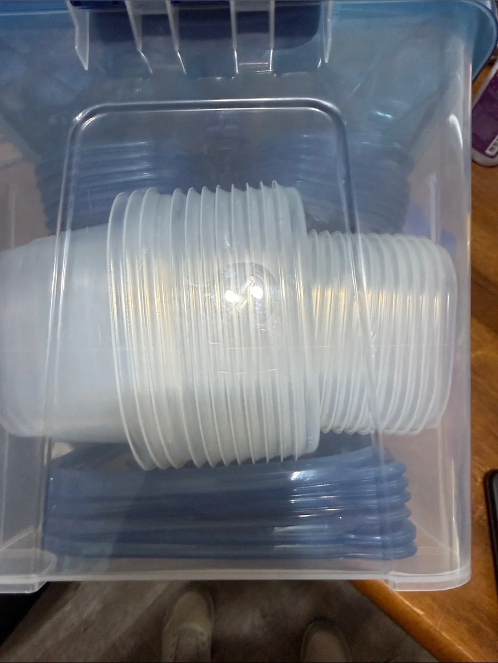 NIB Blue-Lid Food Storage Container Set - BPA-Free Kitchen Organization